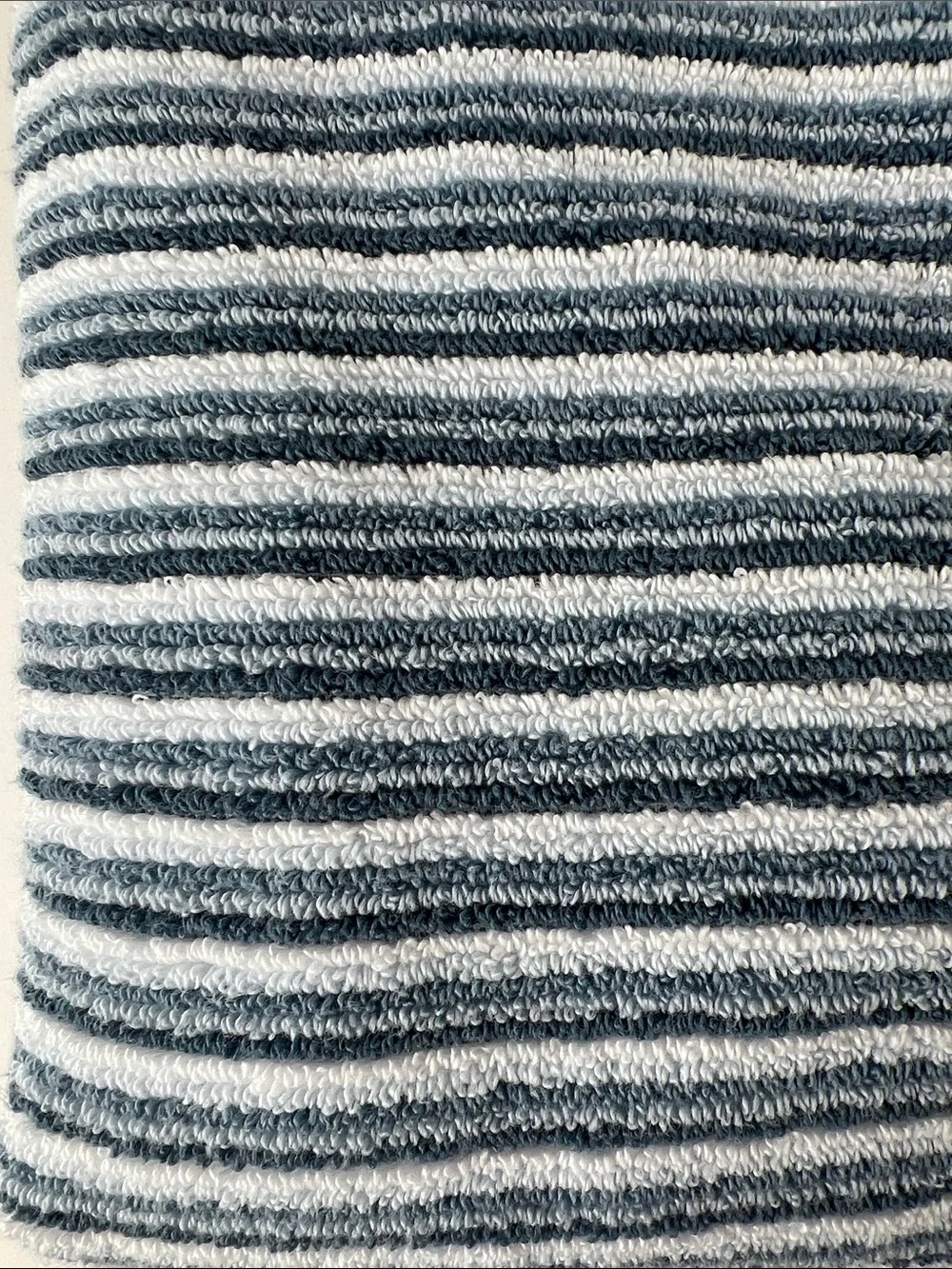 Caro Home Bath Towel Set  Striped Blue White Soft Cotton Quick Dry 2 Pc NEW